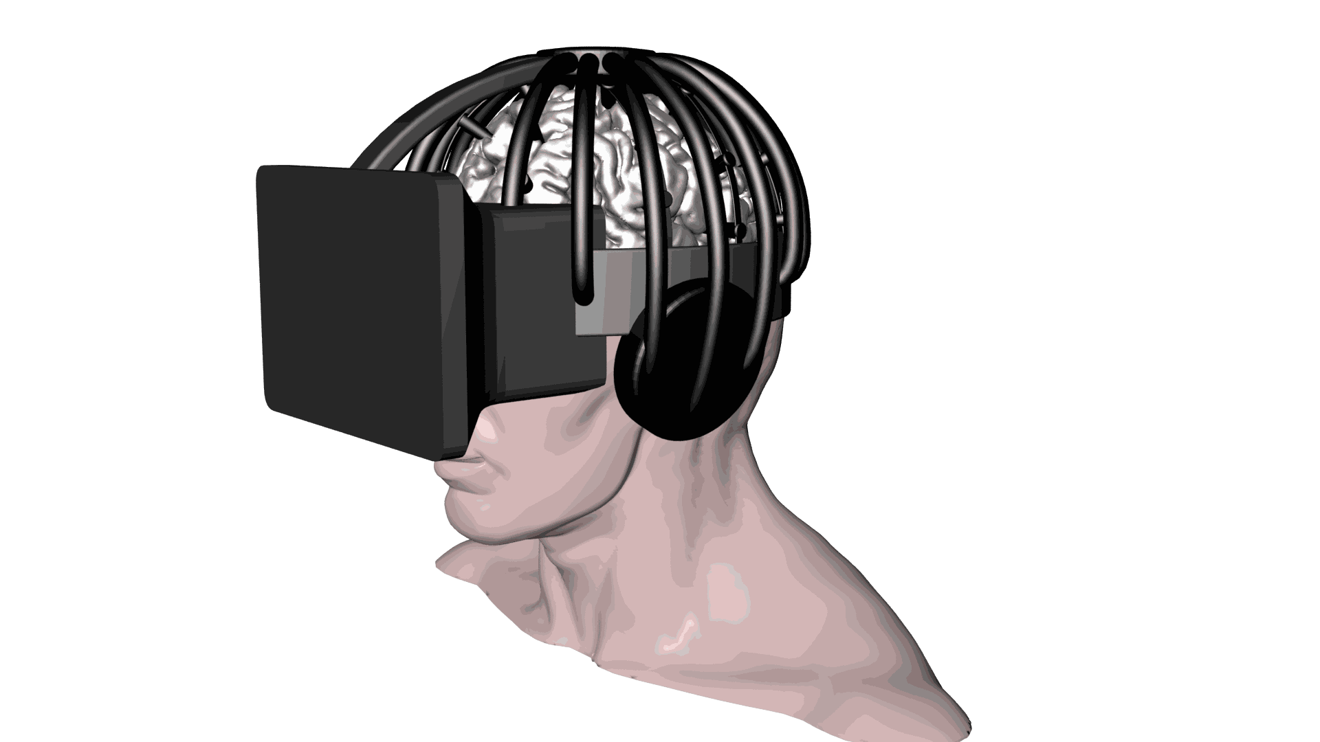 Neurohelmet Brain Connectivity Visual